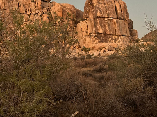 Sky Watcher Stargazing Tours-兰乔米拉必去景点