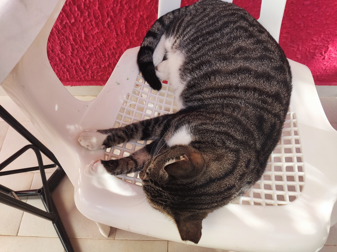 Albatross Apartments主图