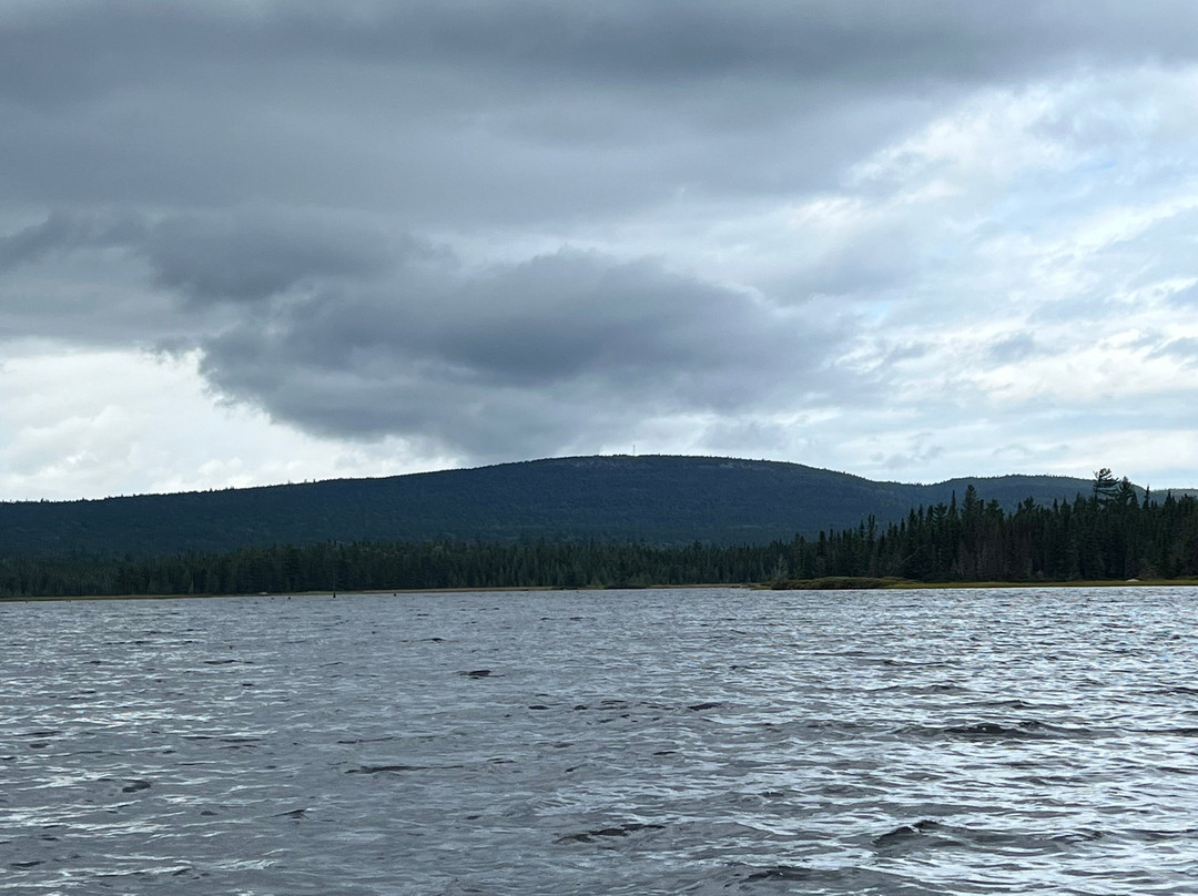 Temagami Wilderness-Temagami必去景点