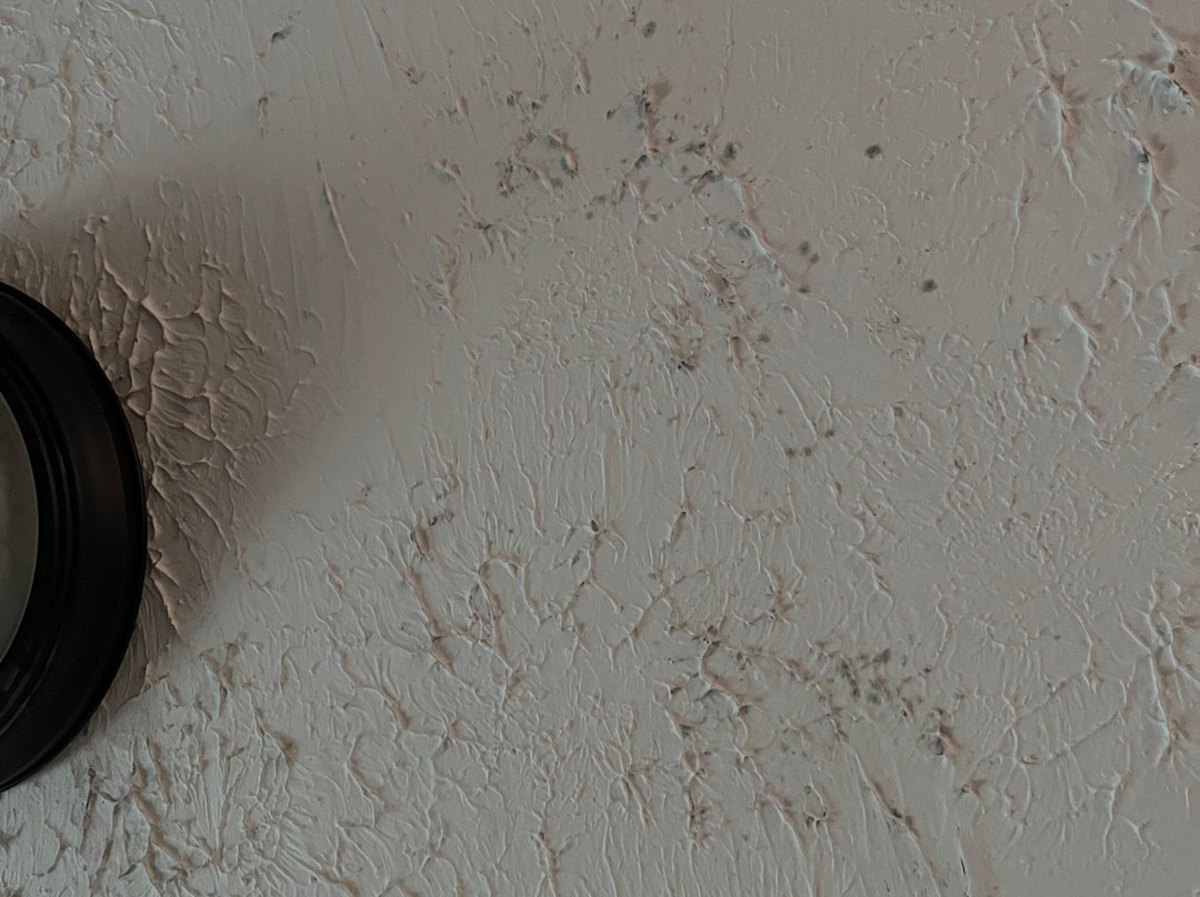 Southern Oaks Inn主图