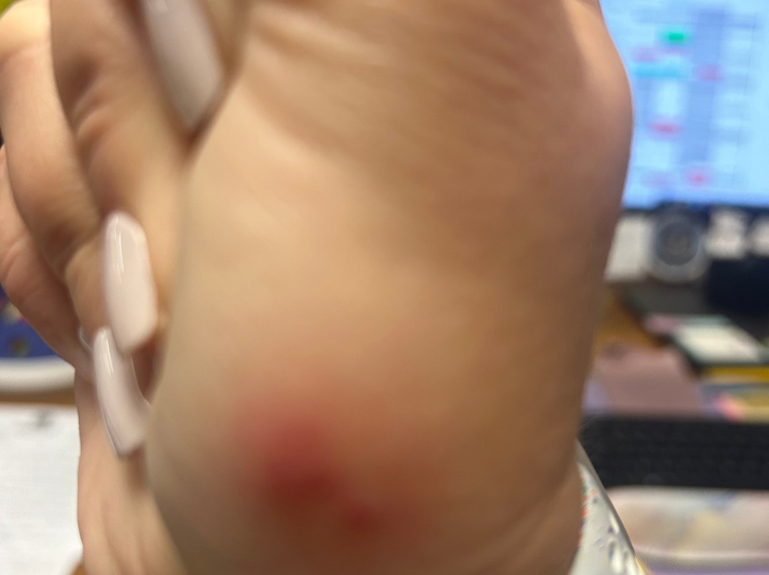 Best Western Plus Yadkin Valley Inn & Suites主图