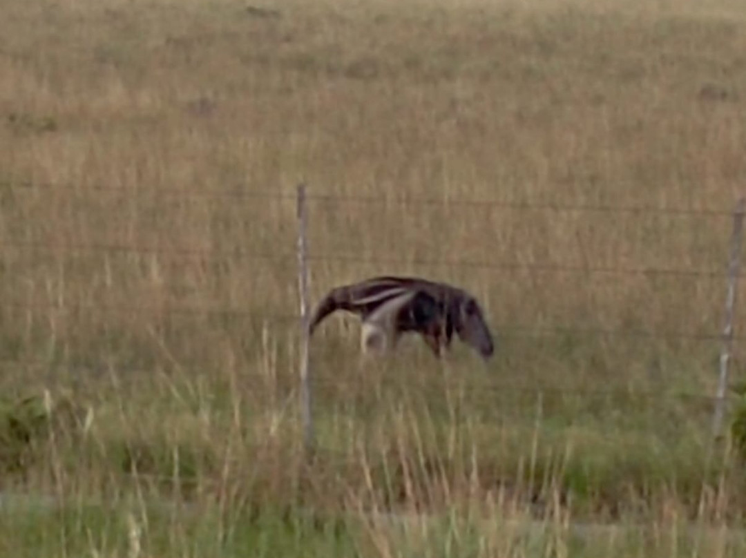 Lago Do Robertinho-Boa Vista必去景点