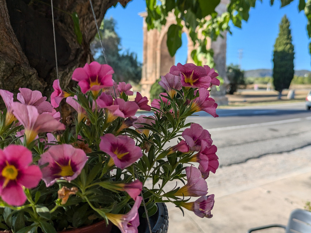 Restaurante Arc de Bara