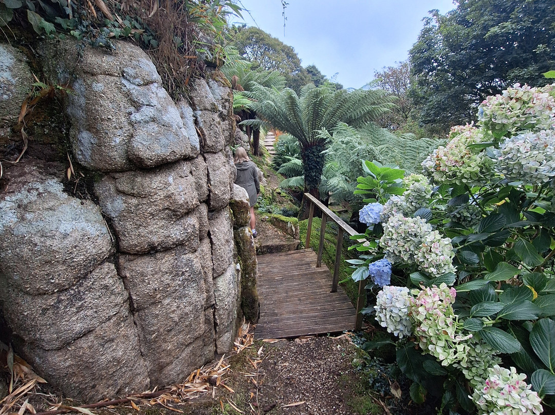 Chygurno Garden景点图片