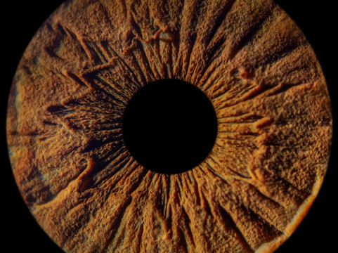 Amazojo Iris Photo Studio-彭萨科拉必去景点