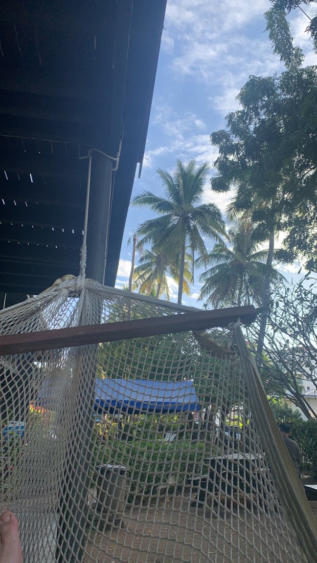 Bamboo Backpackers-官方