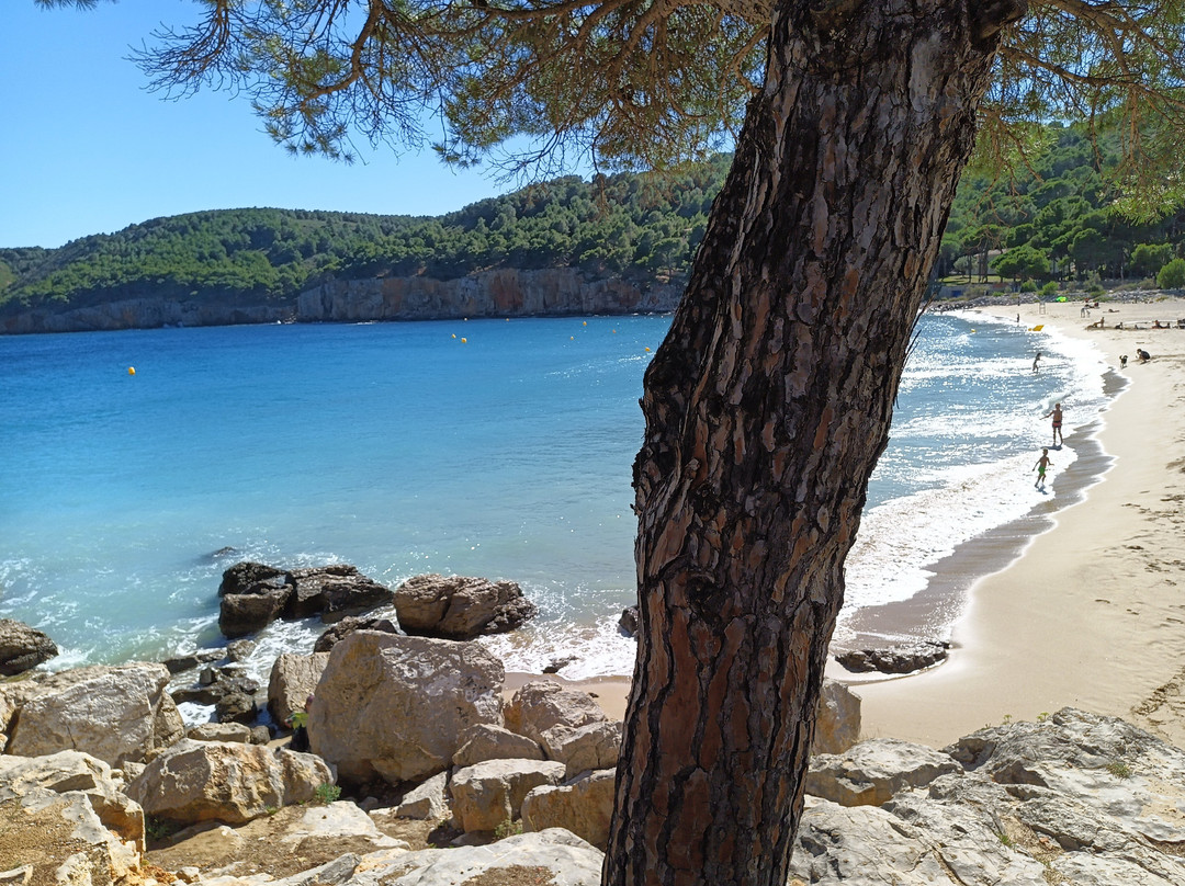 Cala Montgo景点图片