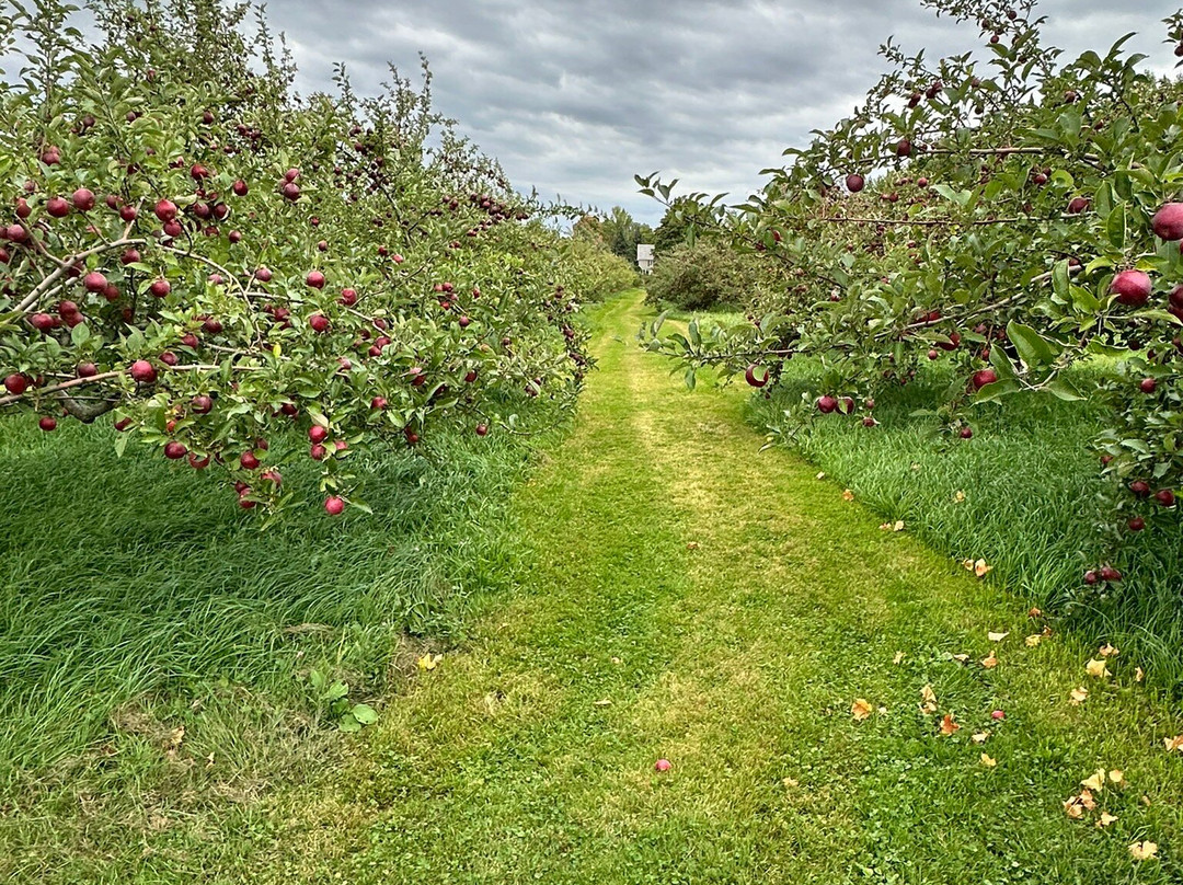 Allenholm Farm-South Hero必去景点