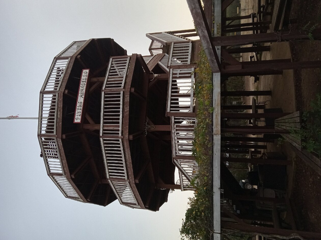 Flying Armadillo Disc Golf Club-圣马科斯必去景点