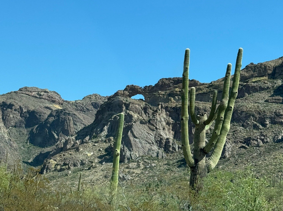 Organ Pipes National Park-凯乐尔必去景点