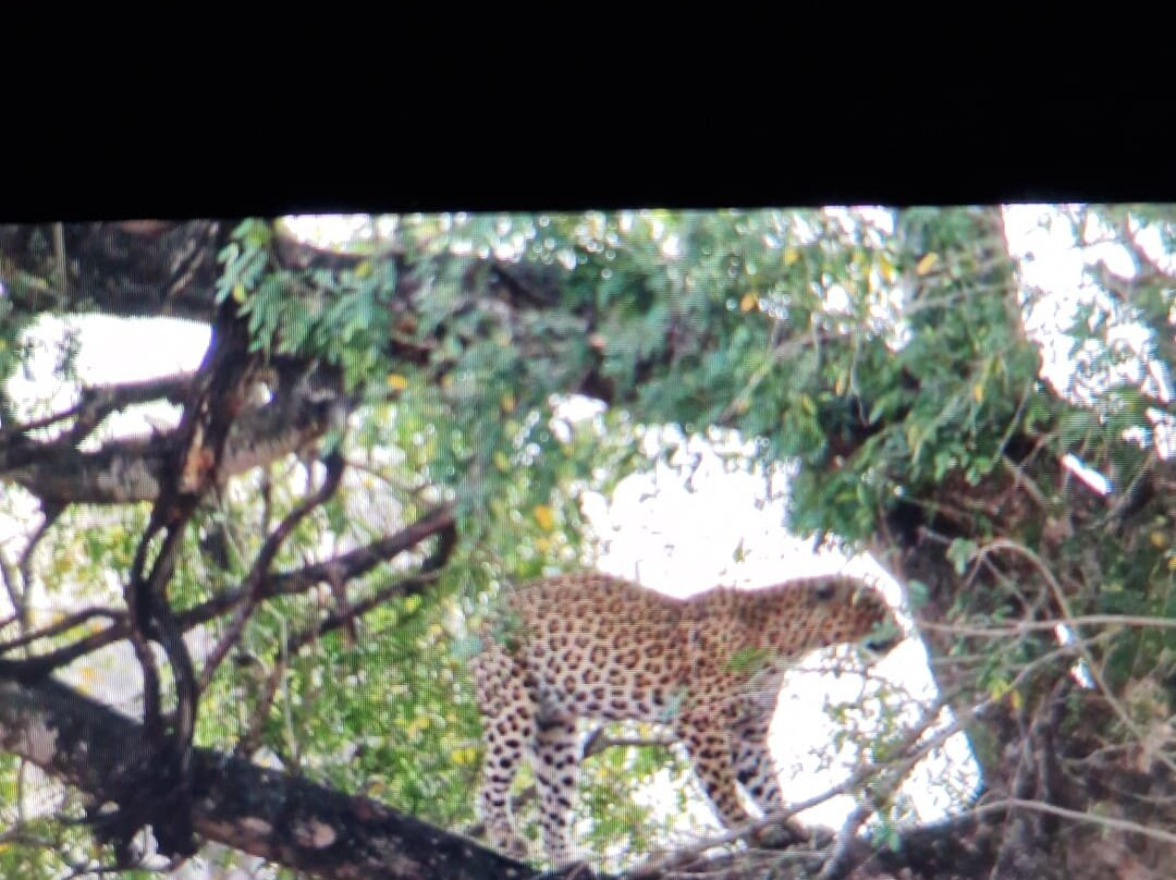 Mozambique Experience-托佛必去景点