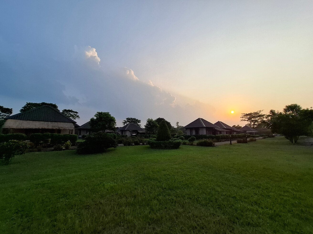 Musa Jungle Retreat主图