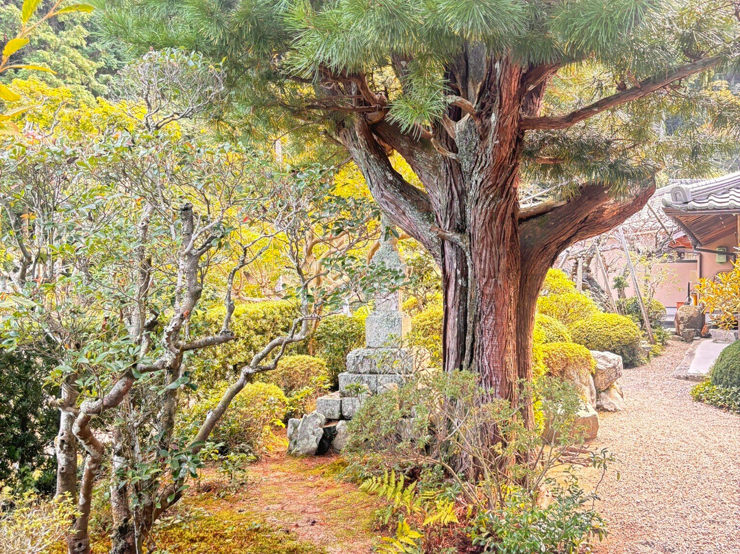 Henjoin Temple-宇治田原町必去景点