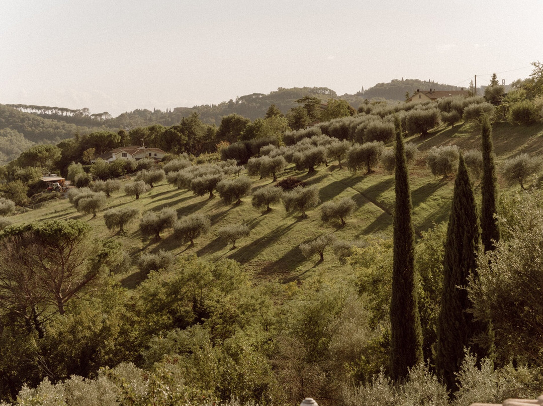 Agriturismo San Felicissimo主图