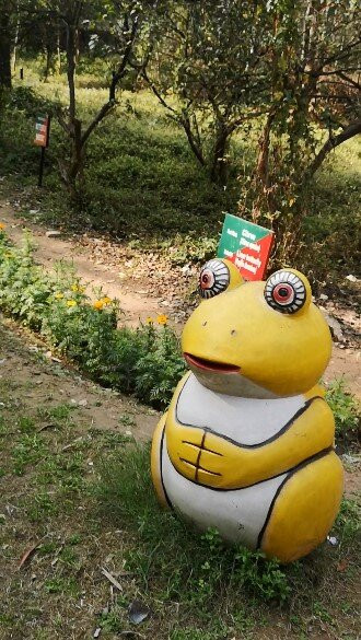 Butterfly Park-昌迪加必去景点