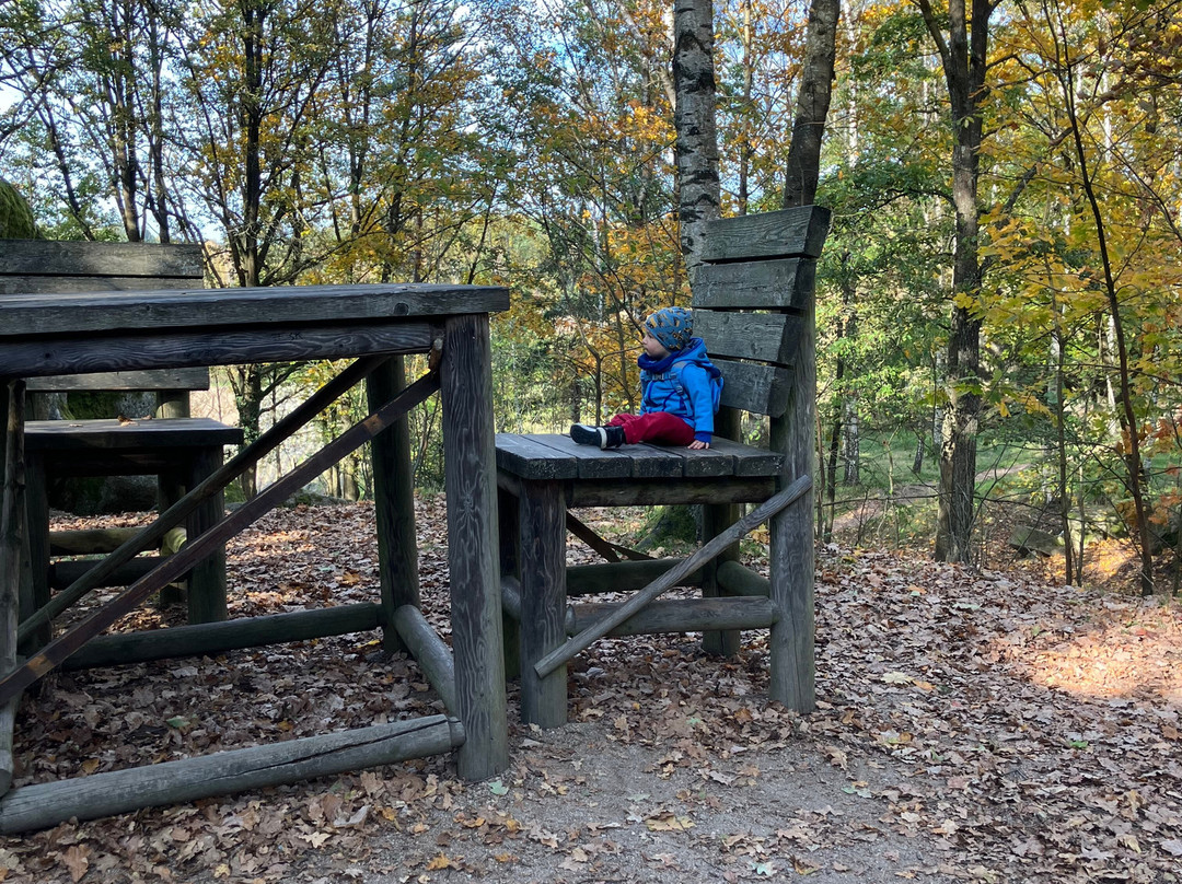 Naturpark Blockheide-Gmuend必去景点