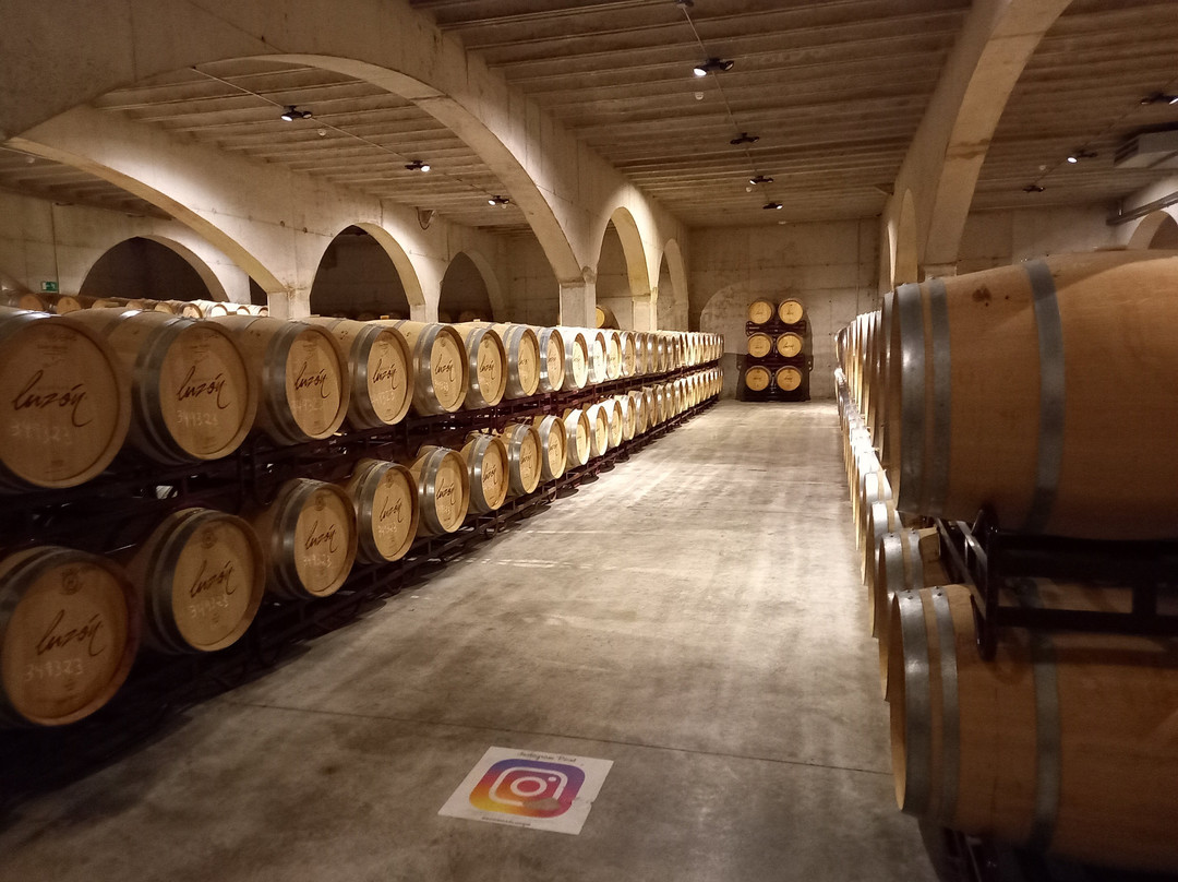 Bodegas Luzón-Jumilla必去景点