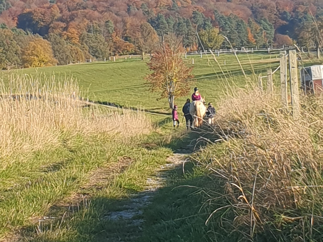 Rhon Feeling Freizeithotel主图