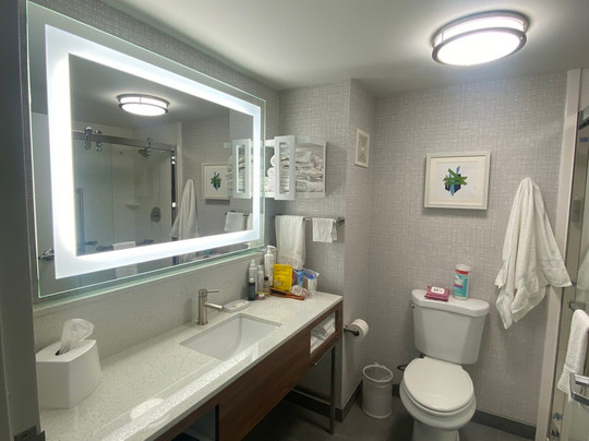 Hampton Inn & Suites Houston - Rosenberg主图