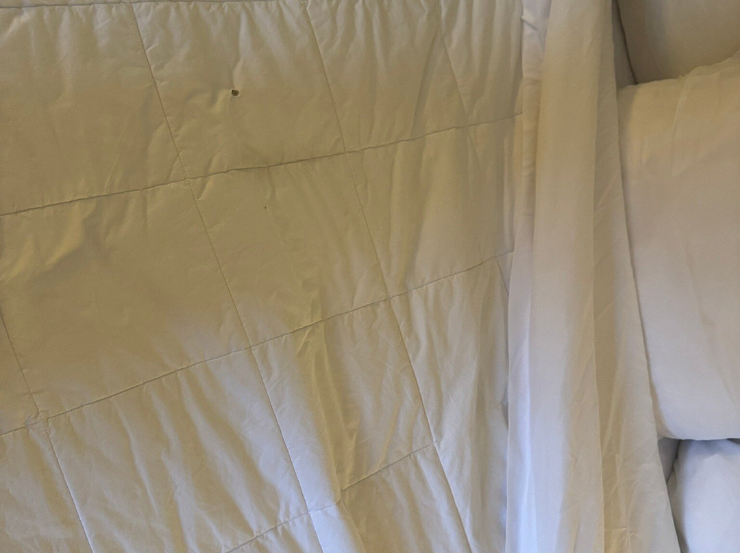 Quality Inn & Suites Glenmont - Albany South主图