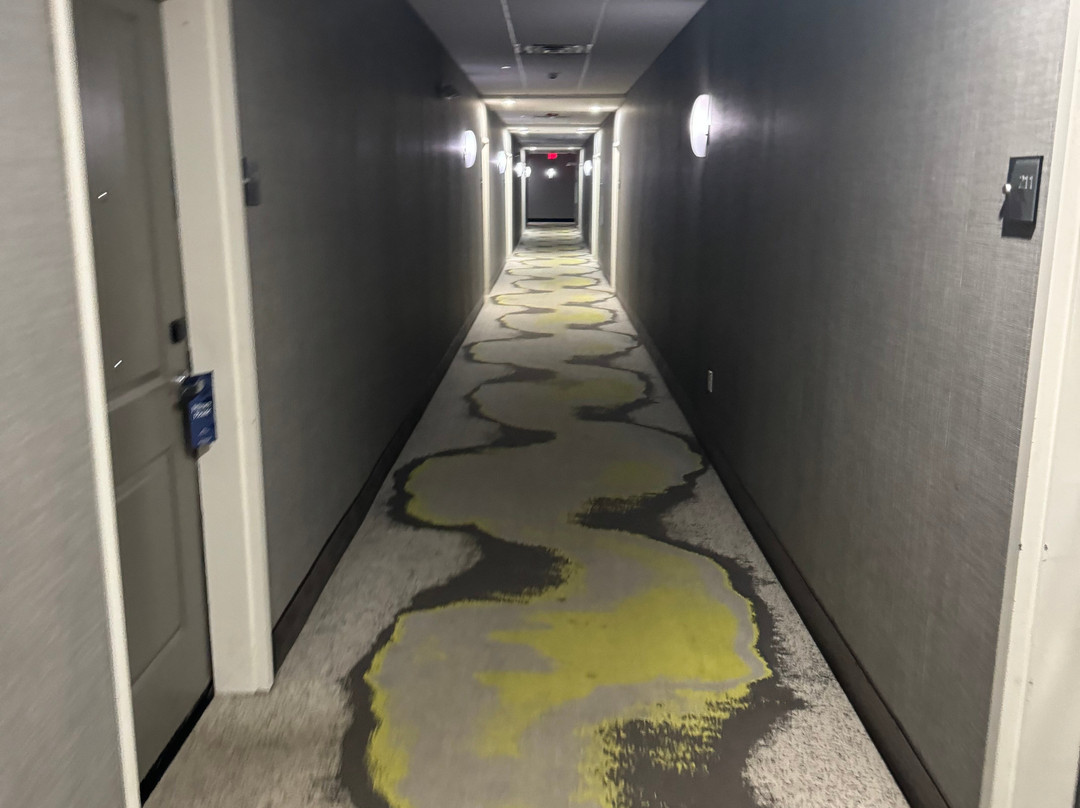 Homewood Suites by Hilton Tyler主图