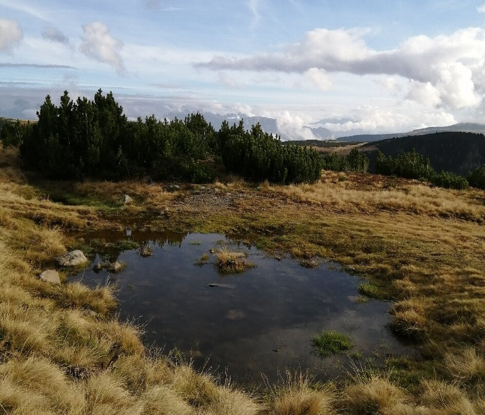 Reinswald Winter and Excursion Area景点图片