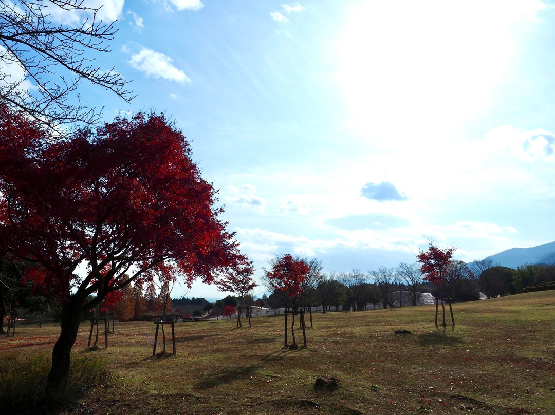 Yoro Park-养老町必去景点