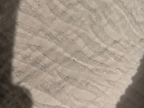 Courtyard Dallas Grand Prairie主图