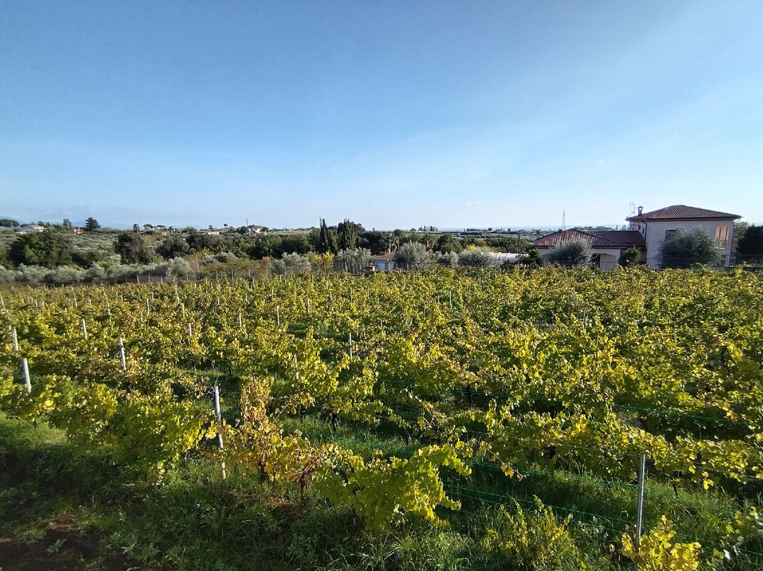 Azienda Agricola Le Rose