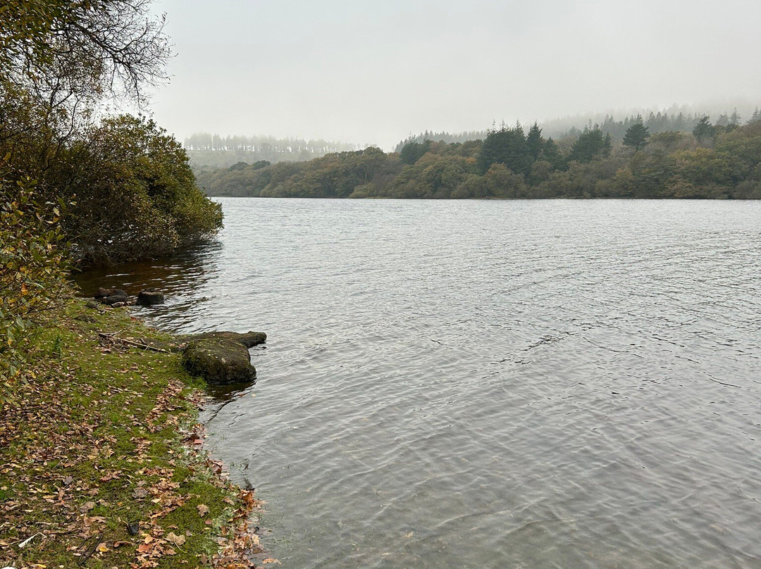 Burrator Reservoir景点图片
