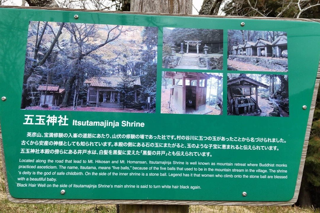 Itsutama Shrine景点图片