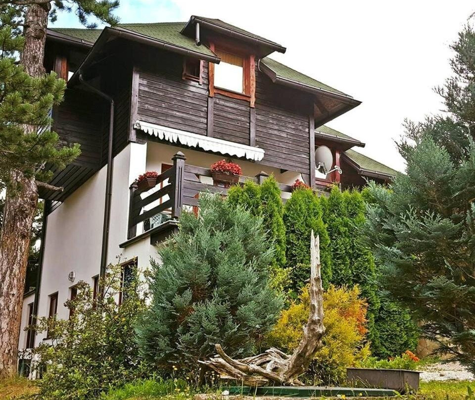 Vila Jelena Tara