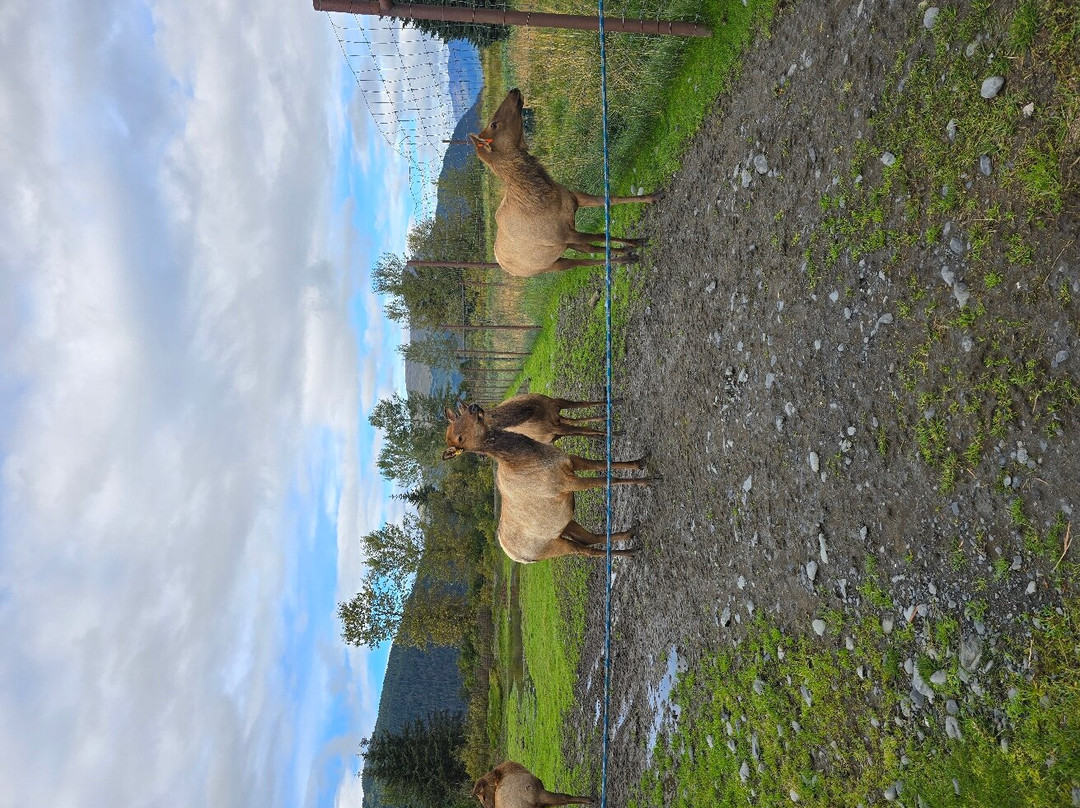 Kenai National Wildlife Refuge-索尔多特纳必去景点