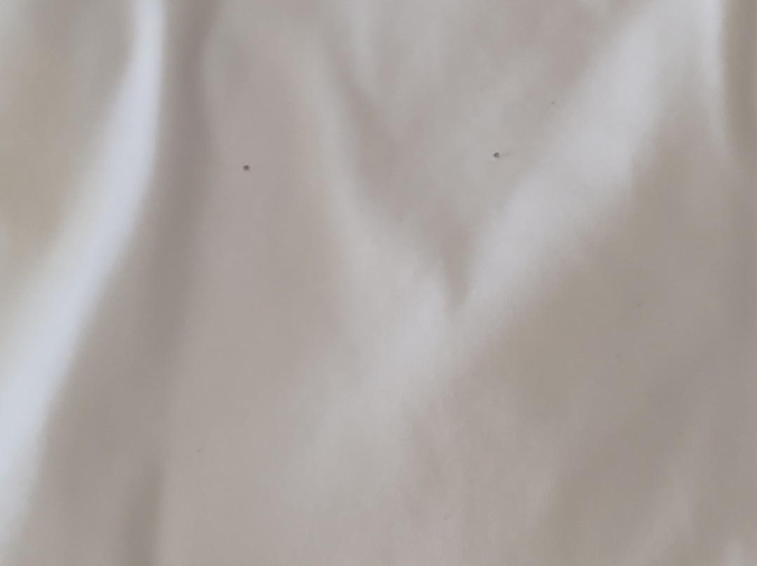 Hampton Inn Lumberton主图