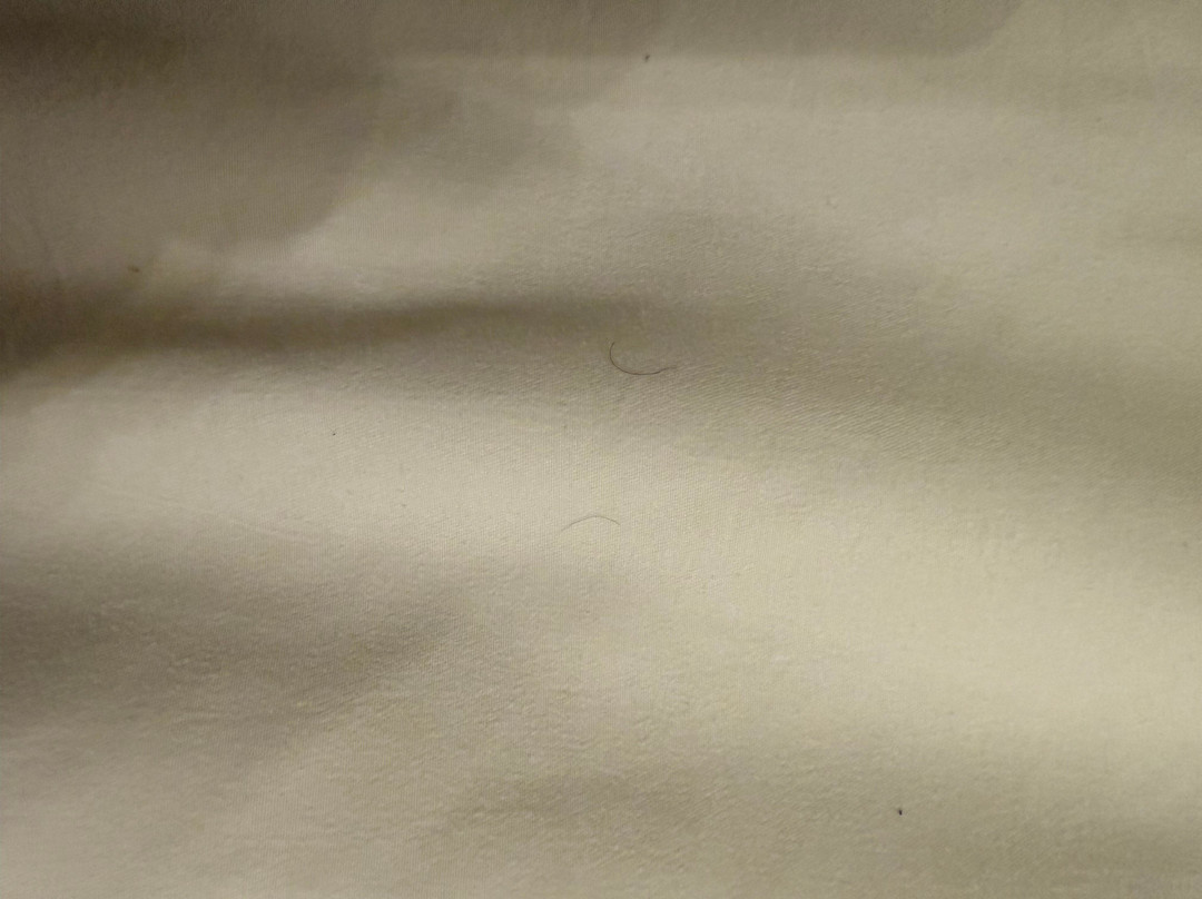 The Stricklin Hotel主图