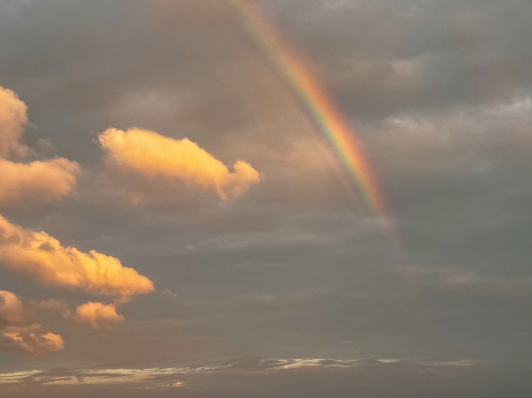 Holly Beach-Cameron必去景点