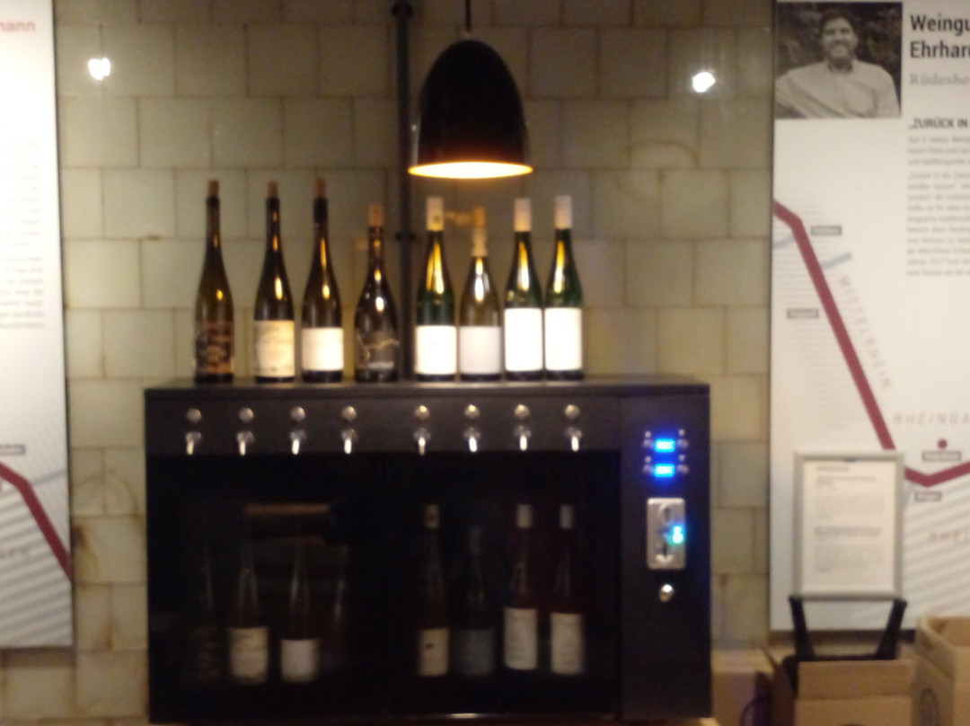 Vinothek Rheinweinwelt Ruedesheim-吕德斯海姆必去景点