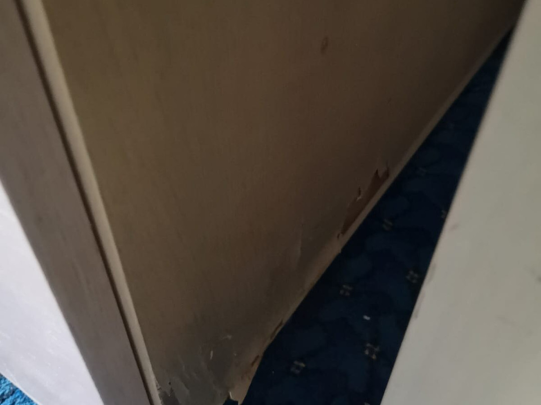 El 牟拉迪马赫迪耶酒店主图