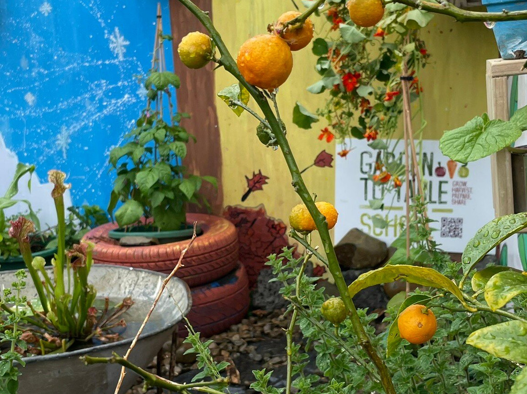 帕内尔玫瑰花园-奥克兰中心地区必去景点