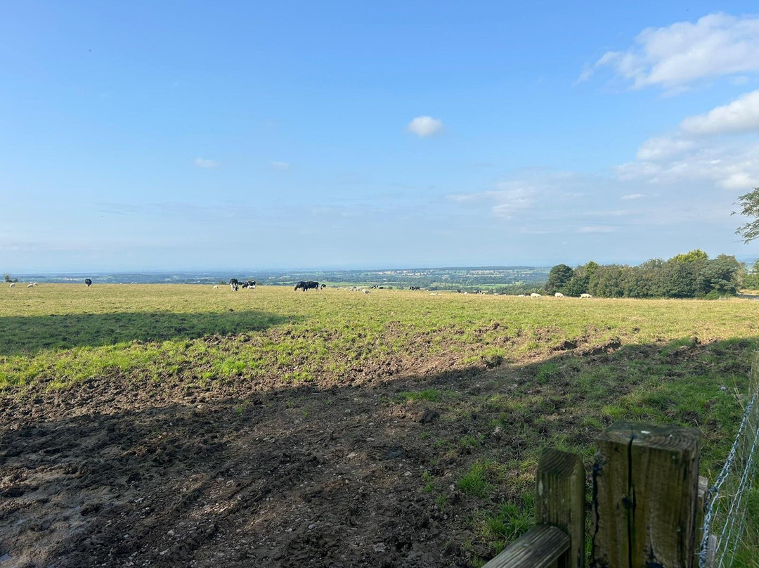 Cherry Tree Farm Caravan & Campsite