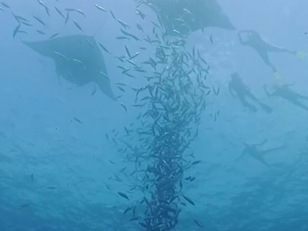Murakabay Maldives Dive Center景点图片