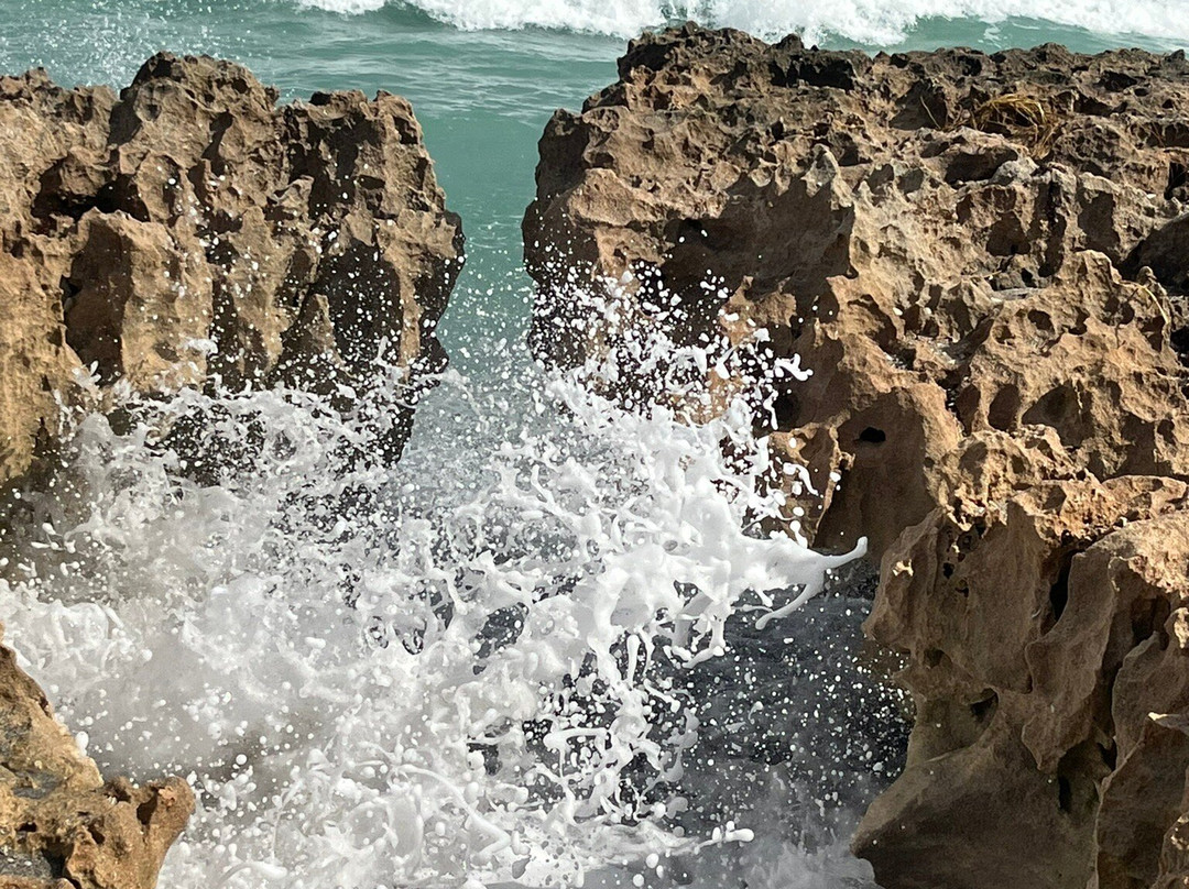 Blowing Rocks Nature Preserve-朱庇特必去景点