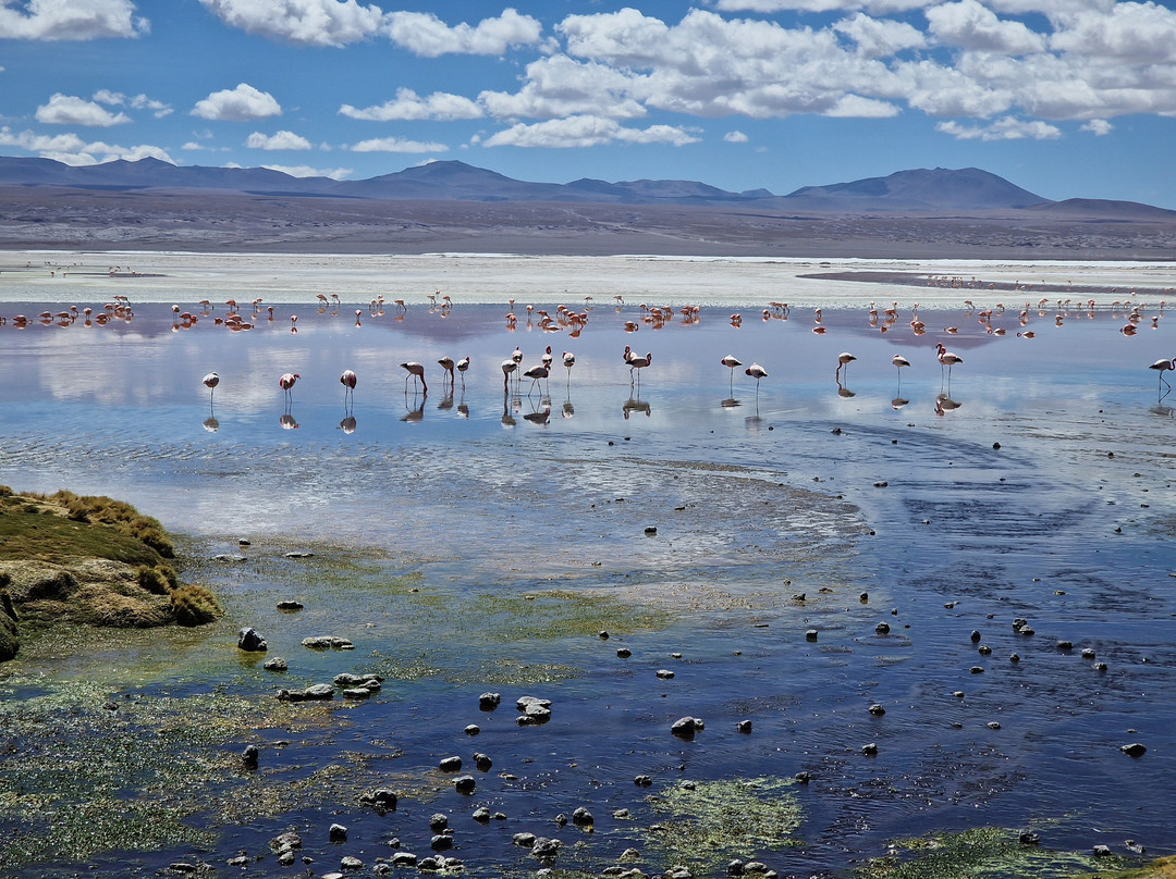 Prisma Andino-圣佩德罗-德阿塔卡马必去景点