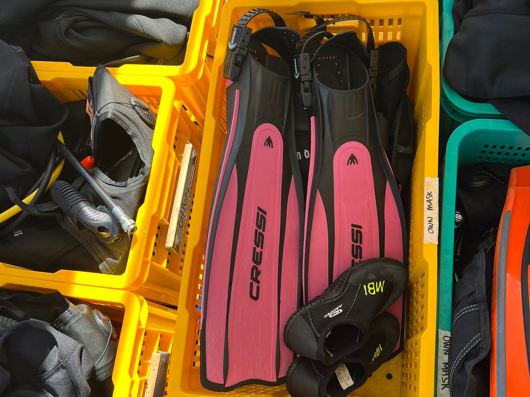 Mbi Divecenter景点图片