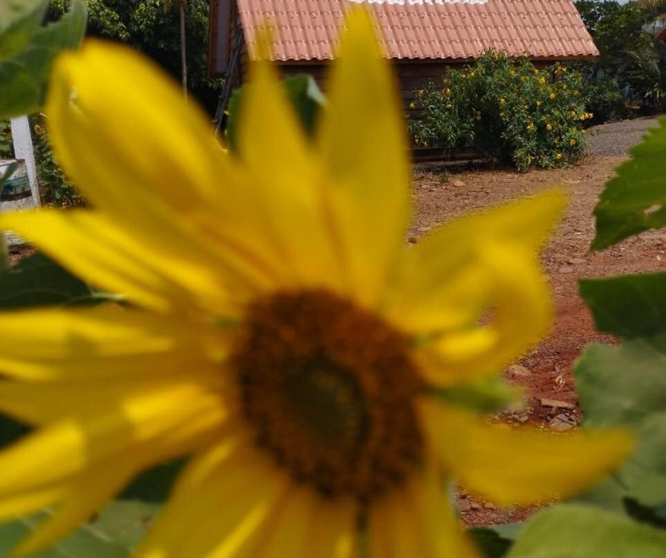 Hotel Pousada e Parada Colonial