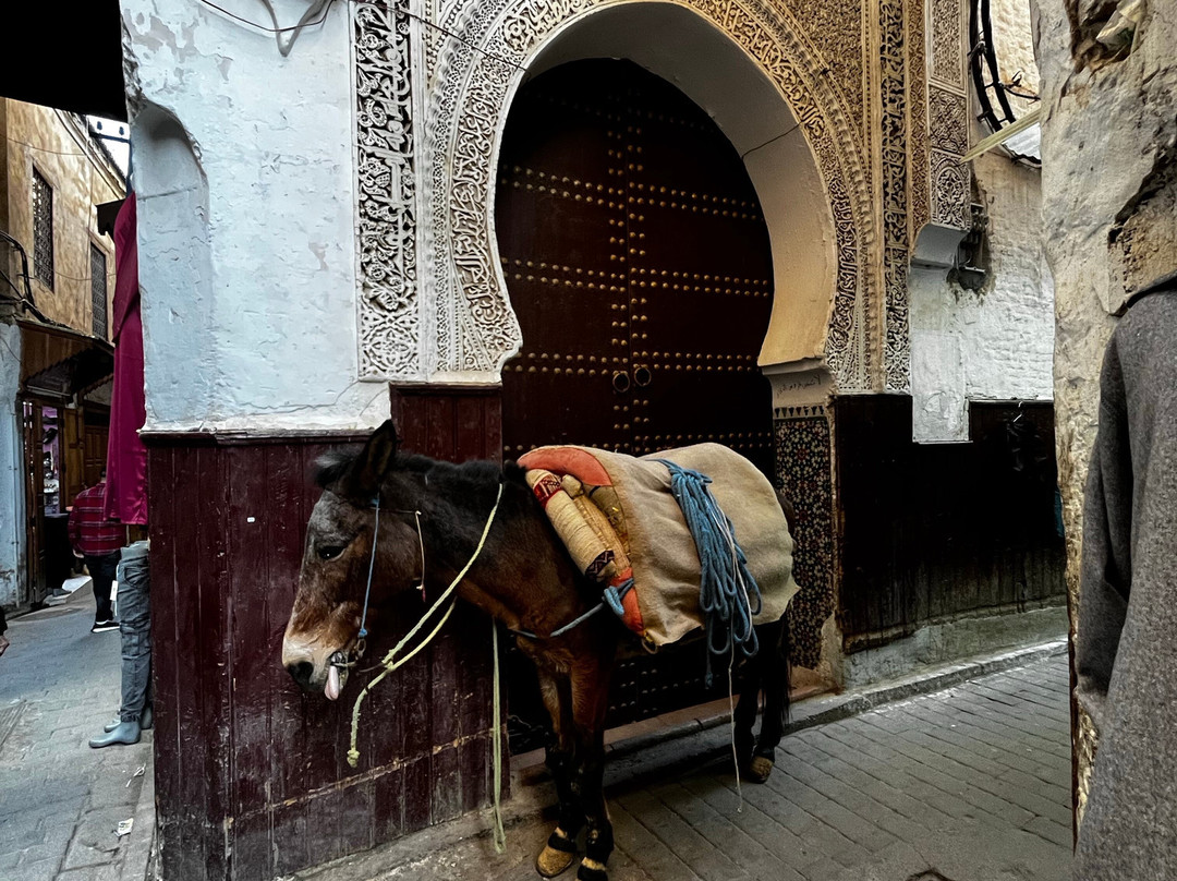 Rachid-非斯必去景点