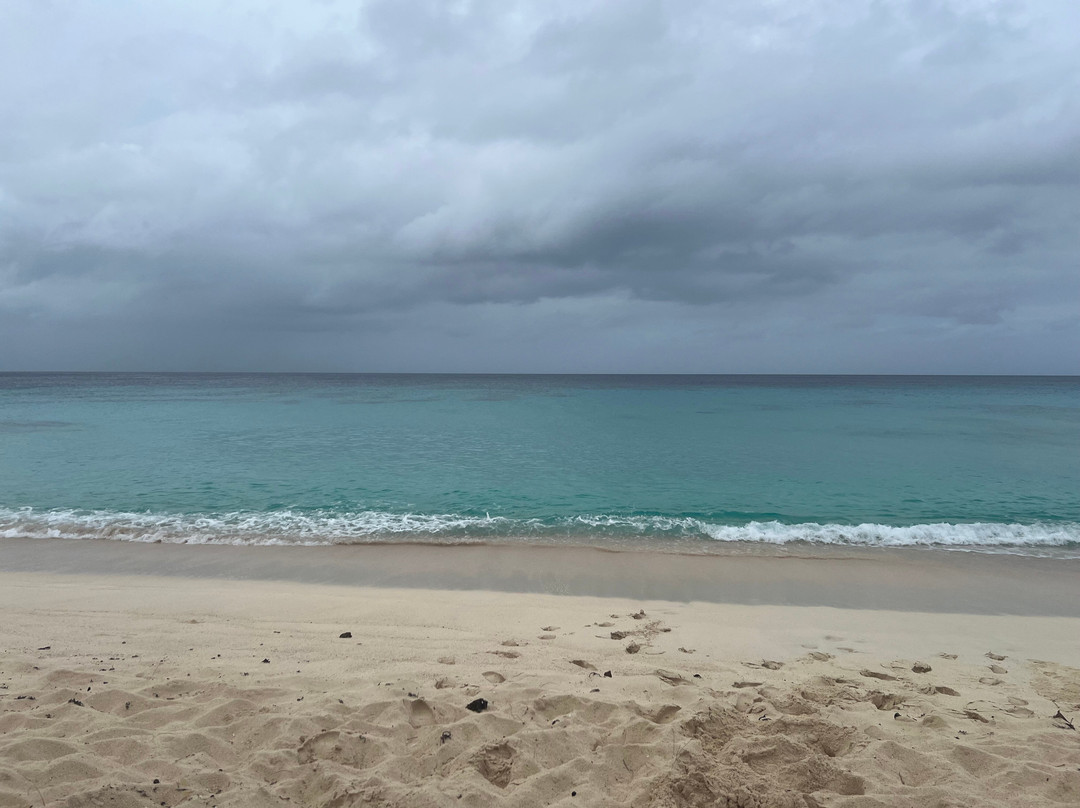 Governor's Beach-特克斯和凯科斯必去景点