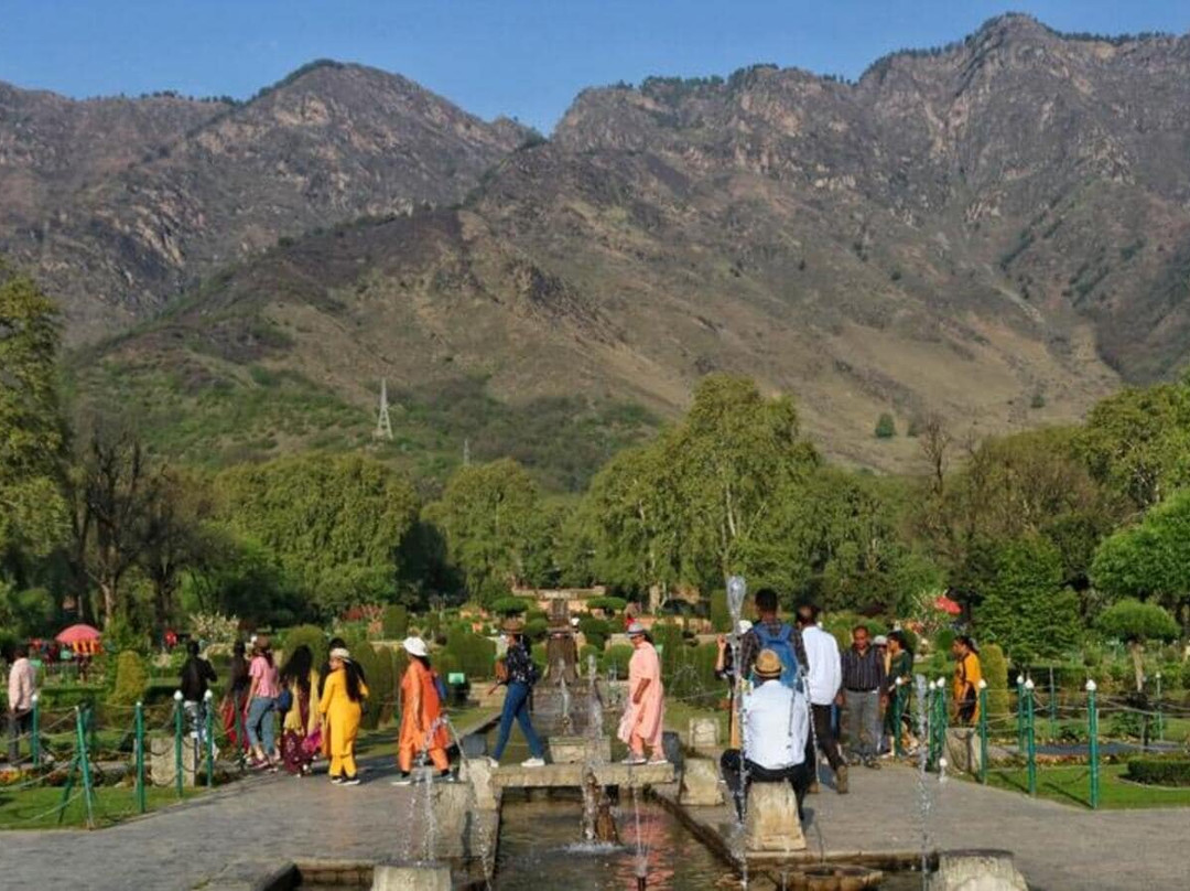 Travel Agency in Kashmir-斯利那加必去景点