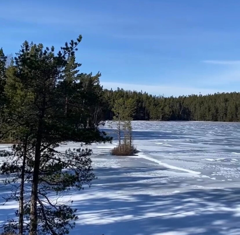 Tyresta National Park景点图片