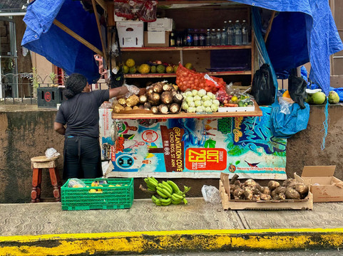 Your Jamaica Tours-奥乔里奥斯必去景点